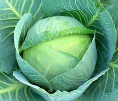 বাঁধাকপি