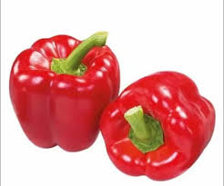 ক্যাপসিকাম