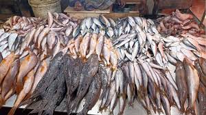 সাগরের মাছ