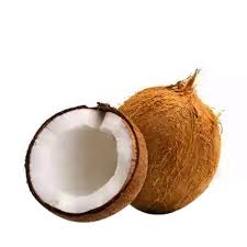 নারকেল/Coconut