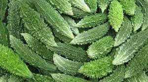 তিতা করলা