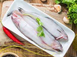 লইট্টা মাছ