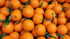 মুুুসাৱি্ৱ