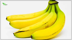 সাগর কলা