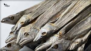 ছুরি শুটকি