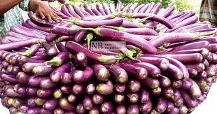 সিলেটি বেগুন /