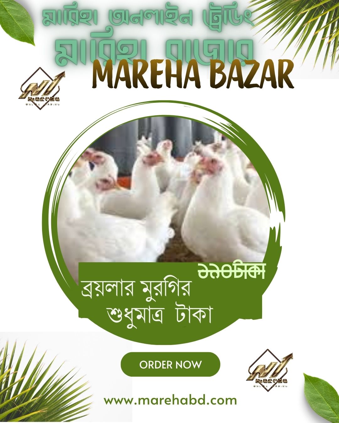 ব্রয়লার মুরগির   শুধুমাত্র 160 টাকা